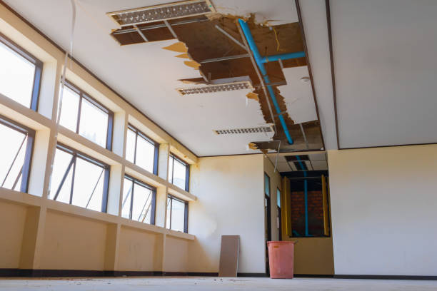 Best Ceiling water damage repair  in New Brighton, PA