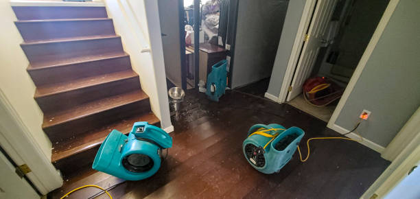 Best Flood damage cleanup  in New Brighton, PA