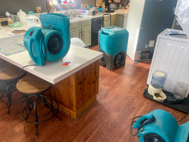 Best Flood damage cleanup  in New Brighton, PA