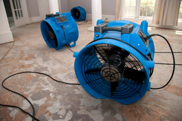Best Basement water damage restoration  in New Brighton, PA