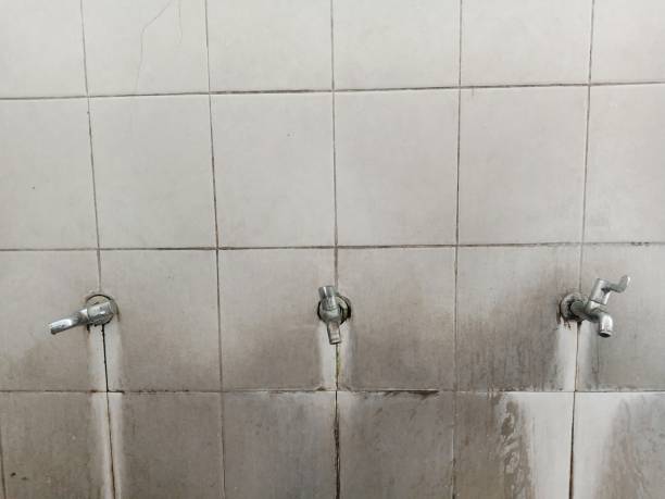 Best Residential water damage restoration  in New Brighton, PA