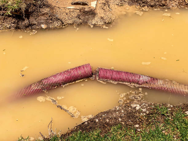 Best Water damage cleanup near me  in New Brighton, PA