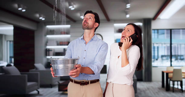 Best Local water damage restoration  in New Brighton, PA